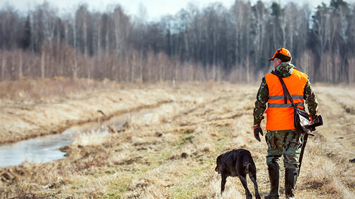 Man in orange vest and camo with hunting rifle walks beside hunting dog in field near tree line