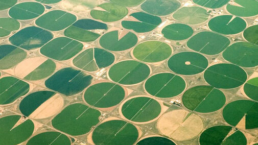 Irrigation circles aerial view