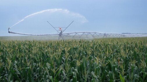 pivot irrigation system operating in a corn field