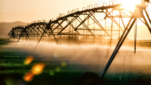 Center pivot in field