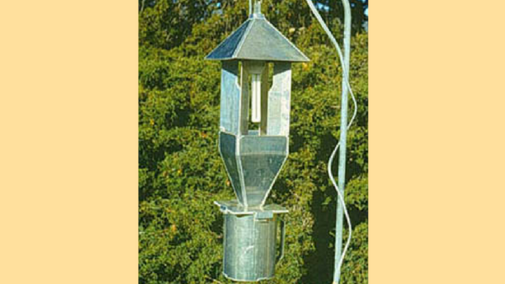 Insect light trap