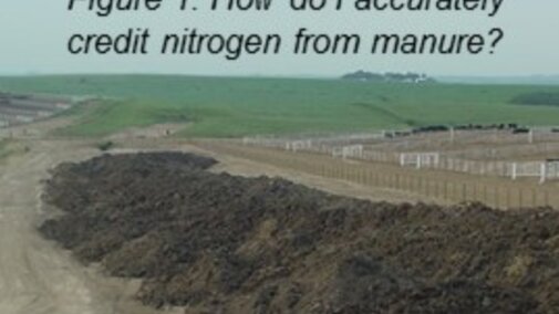 How do I accurately credit nitrogen from manure?