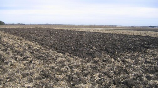 Minnesota tillage plots