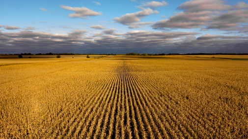 Aerial view of Nebraska corn field