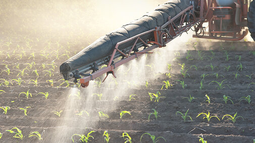 tractor applying nitrogen to corn field