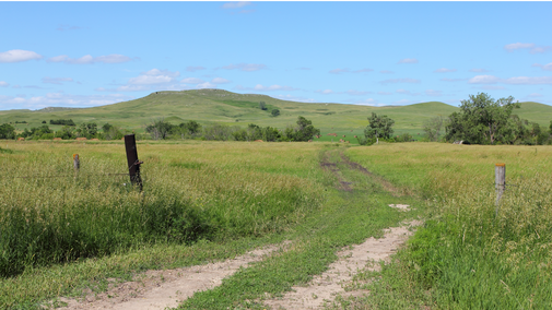 nebraska pasture