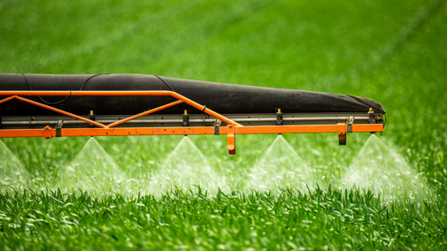 Closeup of pesticide application on wheat field