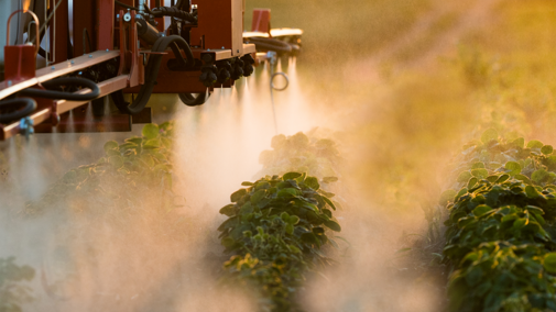 Soybean pesticides