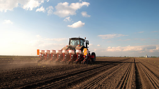 Tractor plants wheat field during bright, sunny day