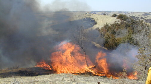 Prescribed burn on farmland