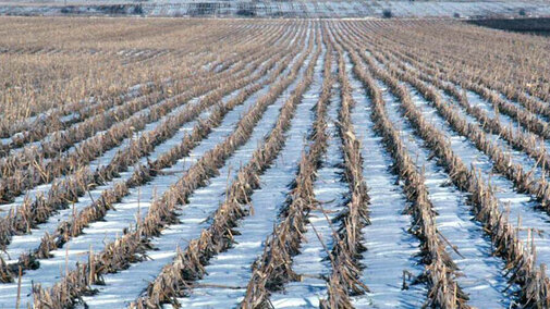 snow between residue rows