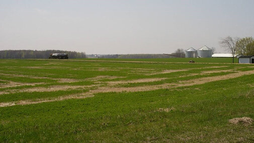 Figure 1. Now is a good time to evaluae your alfalfa stands to determine the level of winter injury they may have sustained during the bitter early-winter cold spell. (Photo by Bruce Anderson)