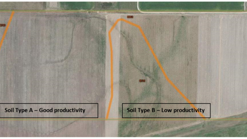 On-farm research field