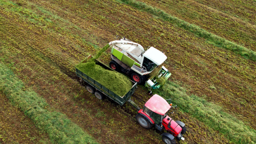 Tractor and grain truck harvesting silage