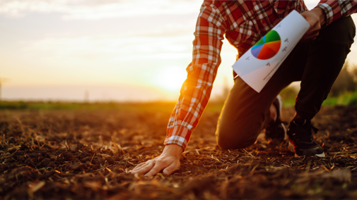 Man assessing soil in field