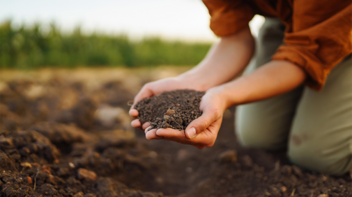 Woman holding soil on farm ground