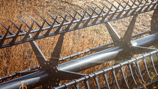 Closeup of combine harvesting soybean