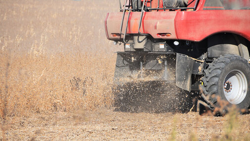 Soybean harvest residue