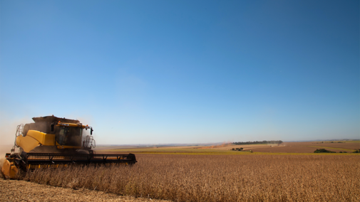 Soybean harvest