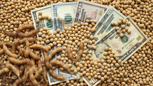 Money in soybeans