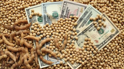 Cash in soybeans