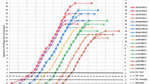 Chart showing rate of soybean node accrual