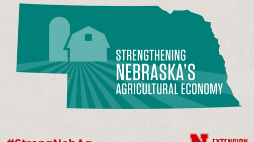 Strengthening Nebraska's Agricultural Economy. Links to full article 'A Checklist for Farm/Ranch Debt Workout'