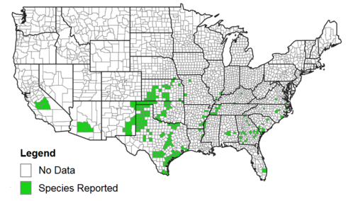 Map of counties reporting the sugarcane aphid