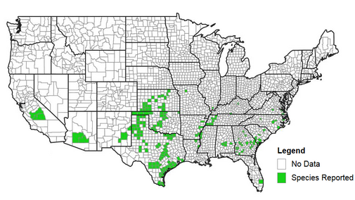 Figure 1. Counties with confirmed sugarcane aphids. Sorghum growers in southeast Nebraska are encouraged to scout for this pest.