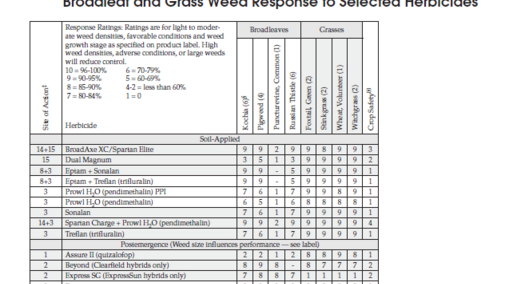 sunflower herbicide efficacy table