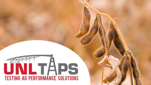 TAPS soybean logo banner