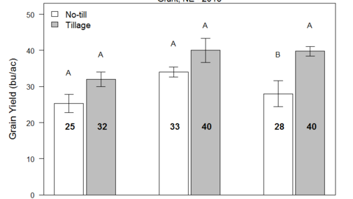 Graph showing tillage effects on yield of chickpea and field pea at Grant, Nebraska in 2018 study.