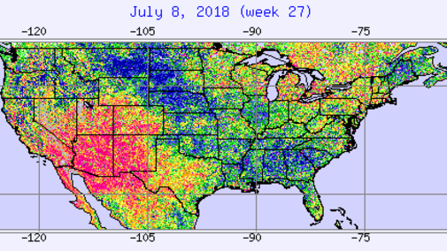 Map of vegetative health index in the Corn Belt  for July 8, 2018