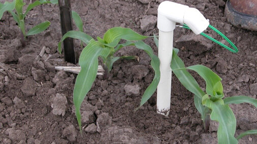 watermark sensors installed in a corn field