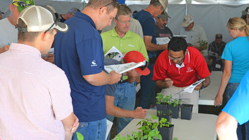 Debalin Sarangi, weed science postdoctoral research associate, describes the key identifying characteristics of broadleaf and grass weed species during weed management field day