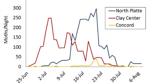 Western bean cutworm moth flights