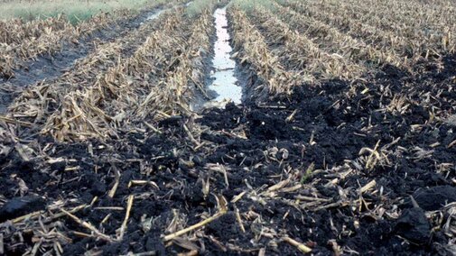 Wet soil compaction