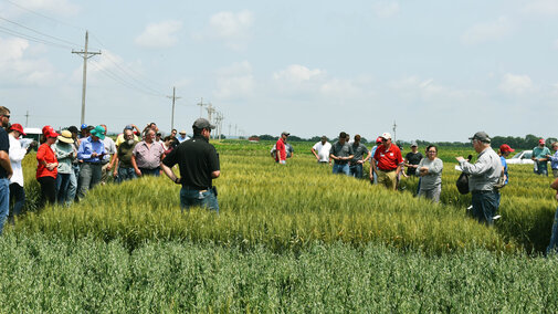 2018 Wheat Field Day at the Eastern Nebraska REC near Mead.