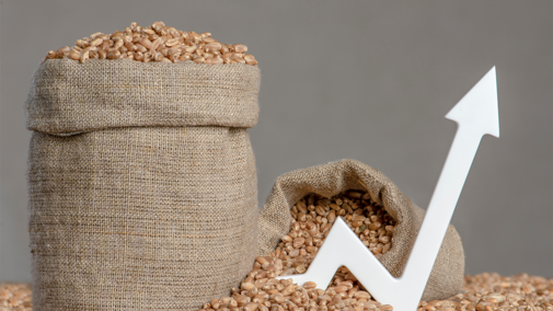 Wheat seeds in sack