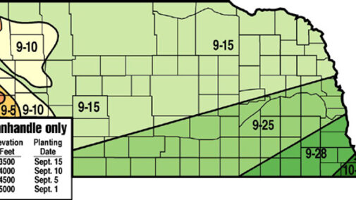 Recommended planting/seeding dates for winter wheat in Nebraska