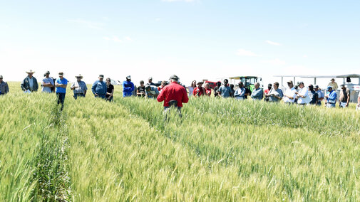 2018 wheat field day at the High Plains Ag Lab