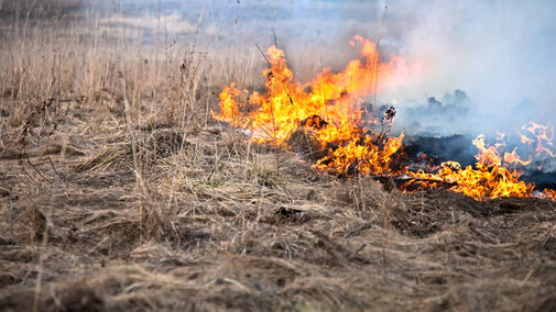 Wildfire in field