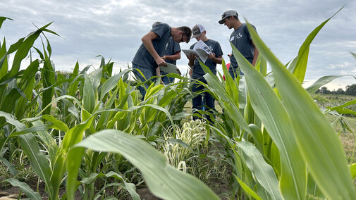 youth crop scouting hero