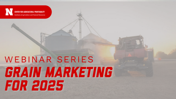 workshop banner