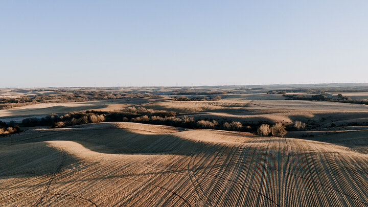 aerial shot of field