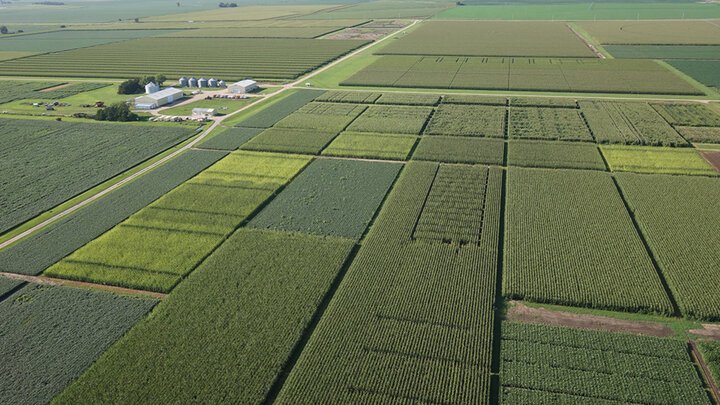 aerial photo of crop fields