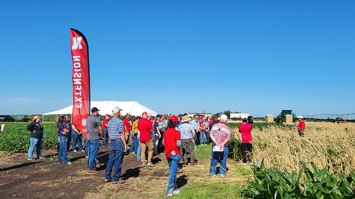 field day attendees gather around Amit Jhala during presentation in field
