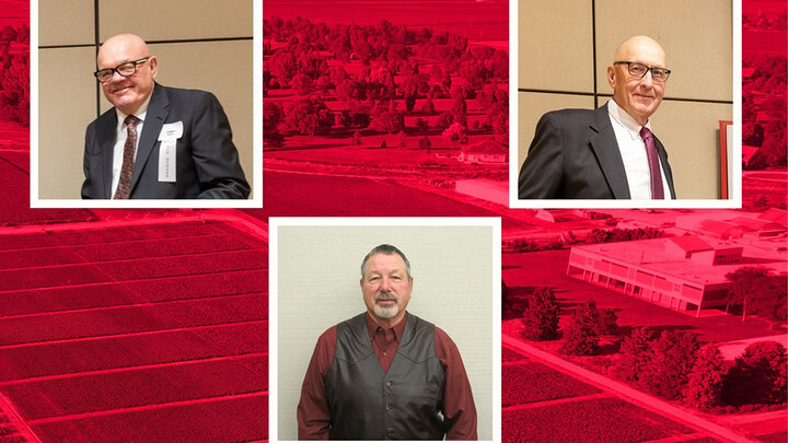 photo collage of three honorees
