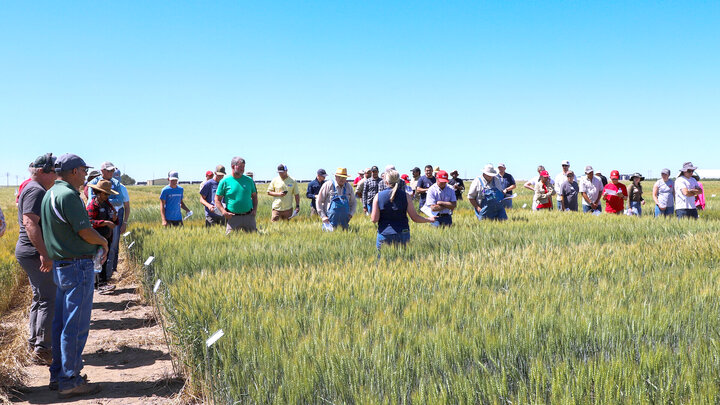 large group of people stand in wheat field listening to presentation