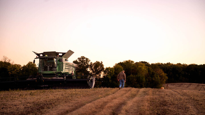 combine harvests field as man walks nearby